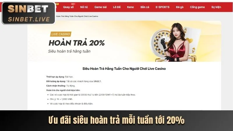 Tổng quan về các chương trình khuyến mãi i8bet
